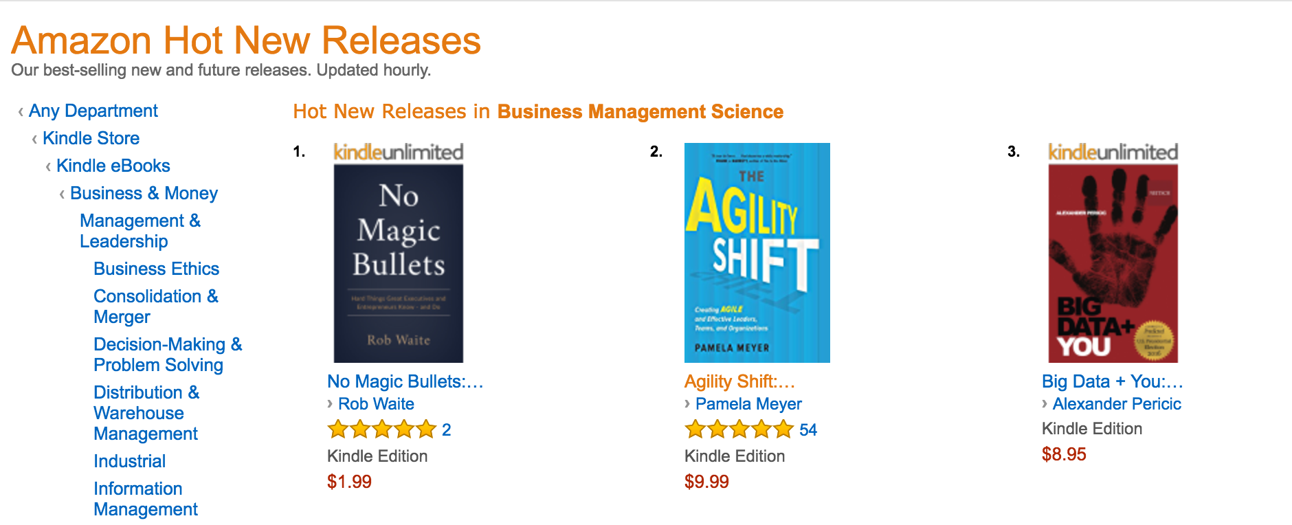 "No Magic Bullets", by Business Author Rob Waite, Ranked 1 on Amazon's